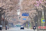 韶关共建“花园城市” 北京这场议政会“百花齐放”